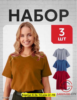 Набор женских футболок, 3 шт - Bruno фото 7