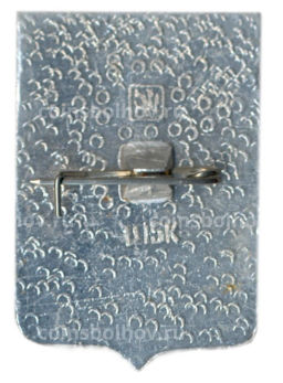 Значок Моршанск