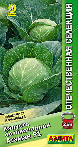 0455A Капуста б/к Атаман F1 0,1гр
