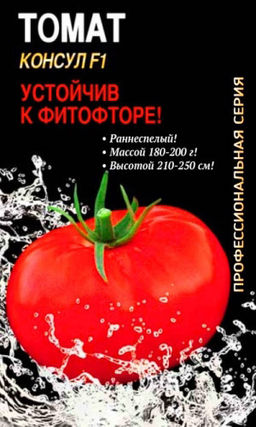 Томат КОНСУЛ F1 Профессиональный гибрид! Устойчив к фитофторе! Раннеспелый!