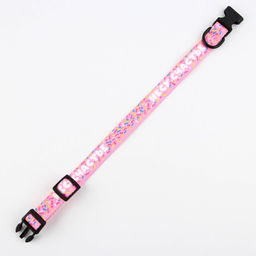 Ошейник Несу счастье, застёжка - фастекс, 2 см 25-40 см - Пушистое счастье фото 6