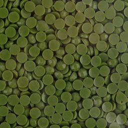 Страз неклеевой Zlatka OZM SS08 цветные 2.5 мм акрил 10 х 10 г в пакете с картонным еврослотом СК/Распродажа № 3153 св.зеленый