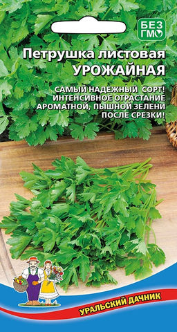 Петрушка листовая УРОЖАЙНАЯ  Название говорит само за себя! Пышные, зелёные букеты будут у вас на грядках! Подходит для заморозки!