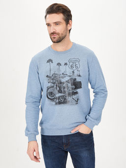 Свитшот мужской GREG G121-California (гол.джин.м)  фото 7