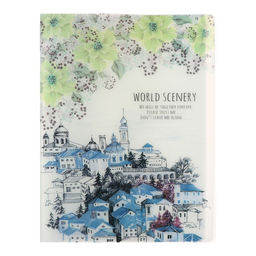 Папка формат А4, с 60 прозрачными файлами Город, МИКС - Calligrata фото 14