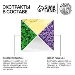 Шампунь для волос с маслом лаванды и экстрактом мелиссы, густые и сильные, 300 мл, ECO LAB by URAL LAB