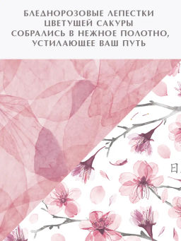 VAL HS-BC-4Smix Короба картонные, 25*33*18.5 см, набор 4 шт., 2 цвета, HERBARIUM SAKURA, шт - Valiant фото 6