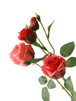 Цветы искусственные "Роза Августина галант" d-6 см 55 см, персиковый