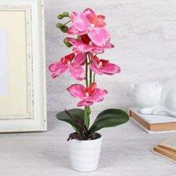 Цветочная композиция Орхидея 31 см / LM-797 /уп 72/ - Галеонтрейд фото 8