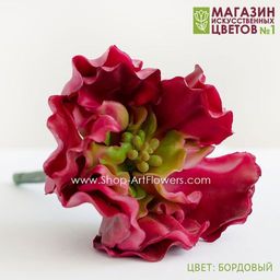 067 Суккулент 7 - Без тм фото 6