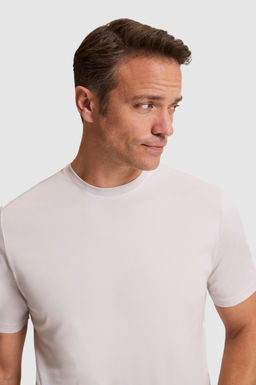 Erkek A__k Gri Regular Fit Bisiklet Yaka Basic Ti__rt