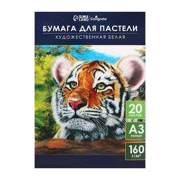 Бумага для пастели А3, 20 листов "Тигр", блок 160 г/ г/м², в папке