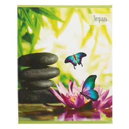 Набор тетрадей 36 листов в клетку, Calligrata «Бабочки», серые листы, 5 штук