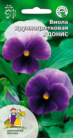 Виола АДОНИС