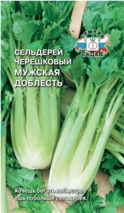 Сельдерей черешковый Мужская Доблесть 0,5г (СеДек)