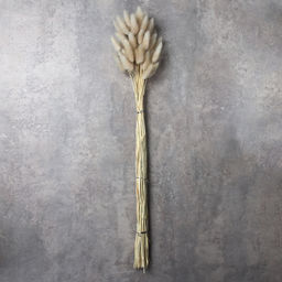 Сухоцвет 60 штук набор 68 см Лагурус / SG-010 /уп 300/бежевый - Галеонтрейд фото 2