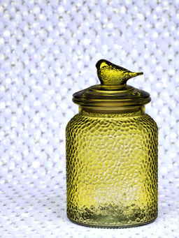 ЕМКОСТЬ ДЛЯ ХРАНЕНИЯ GARDEN GREEN 950 МЛ - Lefard фото 6