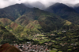 Редкий МИКРОЛОТ Кофе Эквадор Vilcabamba 200 гр MADEO  фото 4