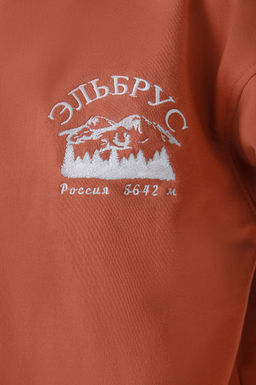 Арт. 15126 Худи женское с капюшоном 44-52 (5 шт) Цвет:терракотовый