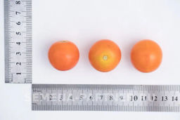 Томат Черри Кирино - Партнер фото 6