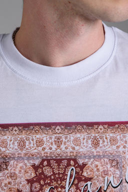 8556 Футболка мужская