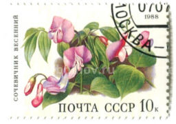Марка Сочевичник весенний 1988 год