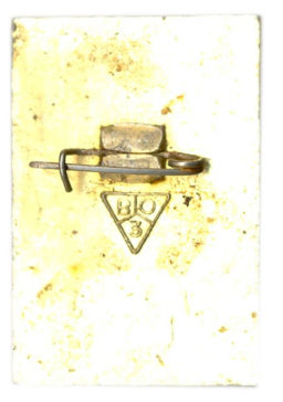 Значок Владимир