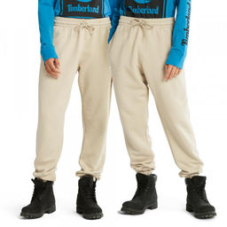 Мужские брюки спортивные Timberland Sweatpant Refibra бежевые