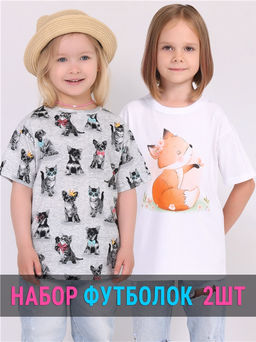 2футболки 2ДДФК5839001н