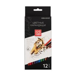 Аква-колор Изостудия IZO-CP12 Набор цветных карандашей заточенный 8 х 12 цв