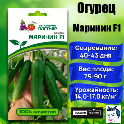 Огурец партенокарпический Маринин - Партнер фото 2