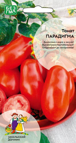 Томат ПАРАДИГМА Плодов видимо- невидимо! Вынослив к жаре и засухе! Высокая транспортабельность! Плодоносит до заморозков!