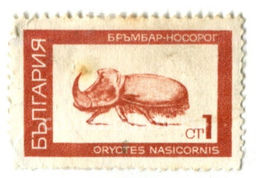 Марка Жук-носорог Болгария