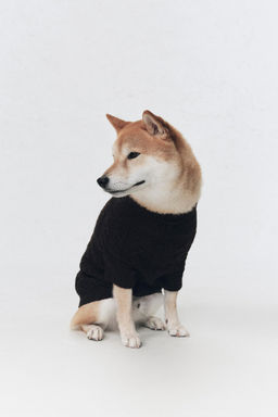 JERSEY CON LANA MASCOTAS SOSHIOTSUKI x ZARA / Chocolate  фото 2