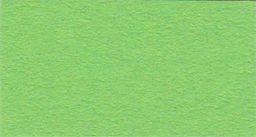 VISTA-ARTISTA Бумага цветная TKO-A3 300 г/м2 A3 29.7 х 42 см 25 шт. 51 светло-зеленый (light green)