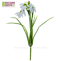 Подснежник