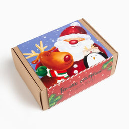 Набор подарочный новогодний «Этель. Теплых объятий», плед и аксессуары