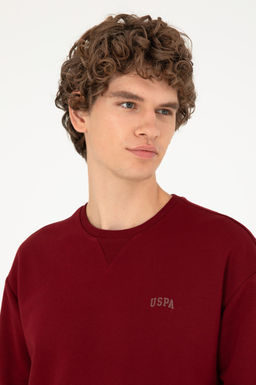 Мужской бордово-красный базовый свитшот Неожиданная скидка в корзине - U.s. polo assn фото 2