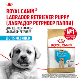 RC Для щенков Лабрадора: до 15мес. (Labrador Retriever puppy 33) 24910300R2