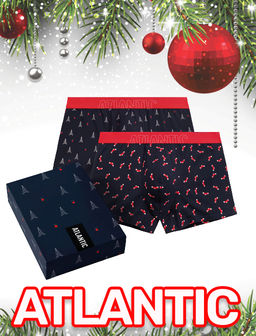 ATLANTIC 2GMH-027 Трусы шорты Socks - набор 2 шт. темно-синий