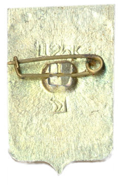 Значок Житомир