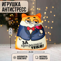 Игрушка антистресс, кот «За прекрасного тебя!»