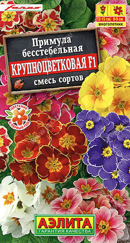 1770A Примула Крупноцветковая F1, смесь сортов 7шт
