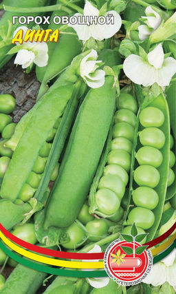 Горох ДИНГА Устойчив к фузариозу! Повышенное содержание белка! Высокие питательные качества!