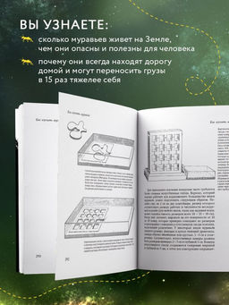 Путешествие к муравьям