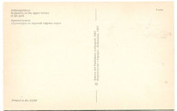 Открытка Архангельское  Скульптура на верхней террасе парка