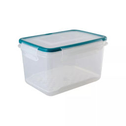 Контейнер с сеткой ЭКСТРА ЛОК L 3,3 л "BRIGHT/LIGHT" арт. С67310 / С67318