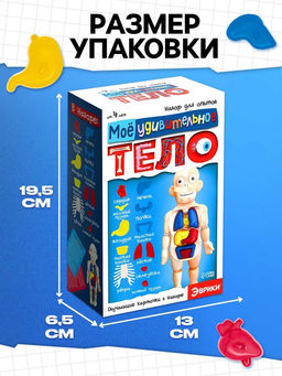 Набор для опытов Мое удивительное тело - Эврики фото 12