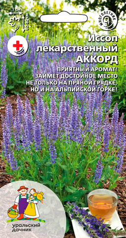 Иссоп АККОРД  Лекарственный, приятный и освежающий аромат, декоративен!
