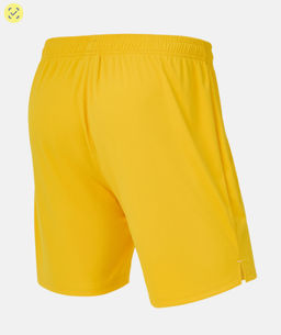 Шорты вратарские Jogel PREMIER PerFormDRY GK Shorts Yellow, желтый фото 5